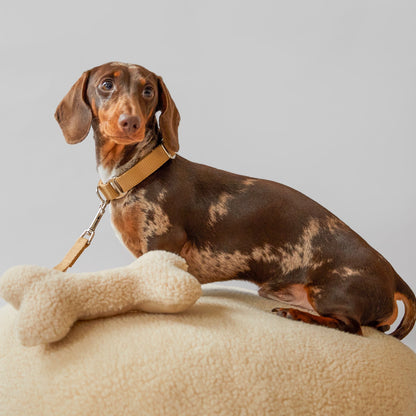 Neutral Bone Dog Toy